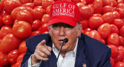 Arancel del 17% al jitomate: ¿Qué implicaciones tiene para México la medida anunciada por Trump?