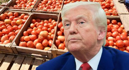 EU impone arancel al jitomate mexicano: ¿cómo afecta a productores y trabajadores?