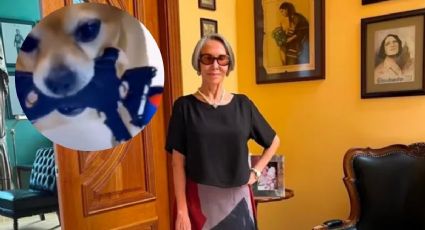 VIDEO | Florinda Meza presume a su perro mientras destroza muñeco de Kiko