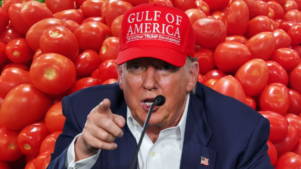 La disputa del jitomate regresa: Trump amenaza exportaciones mexicanas.