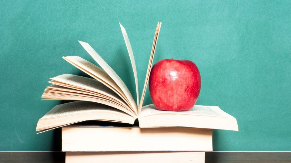 Paloma Sánchez detalló que su propuesta tiene el objetivo de que el Estado garantice la continuidad educativa.