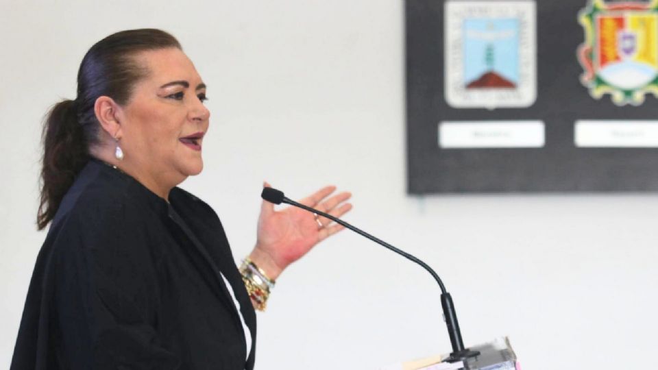 Taddei pidió esperar a conocer la magnitud de la iniciativa que enviará el gobierno federal.