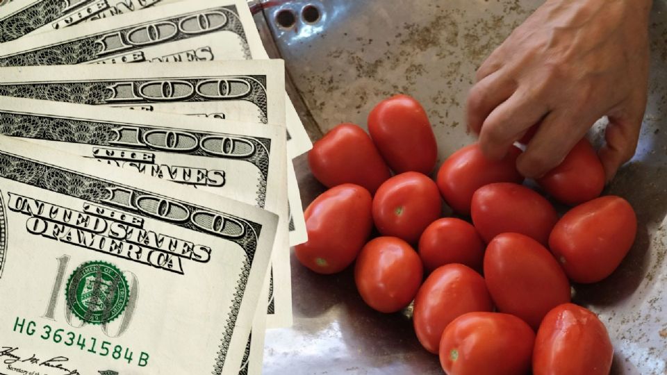 Las autoridades mexicanas deberán “reforzar la promoción internacional y respaldar a los productores con incentivos logísticos y financieros”.