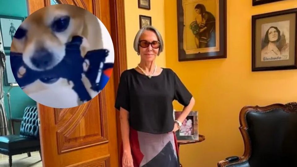 VIDEO | Florinda Meza presume a su perro mientras destroza muñeco de Kiko