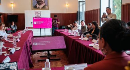 Proyecto de Cablebús en Tlalpan modificará actividades de mercado, locatarios lo analizan