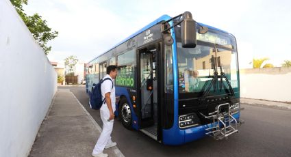 Crisis en transporte: concesionarios retirarán autobuses