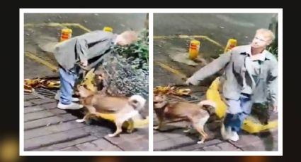 VIDEO | Indignación en la Cuauhtémoc: Captan a hombre dejando las heces de su perro en una jardinera