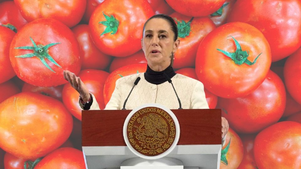 Julio Berdegué titular de la secretaría de Agricultura y Desarrollo Rural dará más detalles sobre el plan de acción.