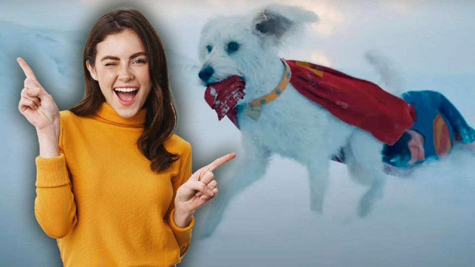 Su impacto social ha sido comparado con el de personajes como Rocket Raccoon.