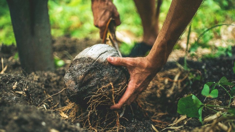 El Estado mexicano tiene una “deuda” con “quienes arriesgan su vida por proteger los territorios.