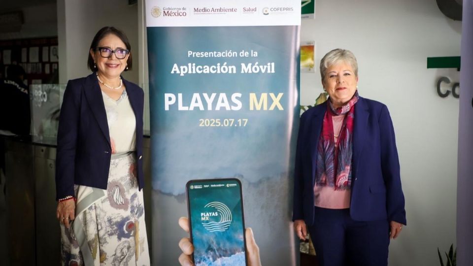 Alicia Bárcena refirió que trabajan en un Programa Nacional de Restauración Ambiental.