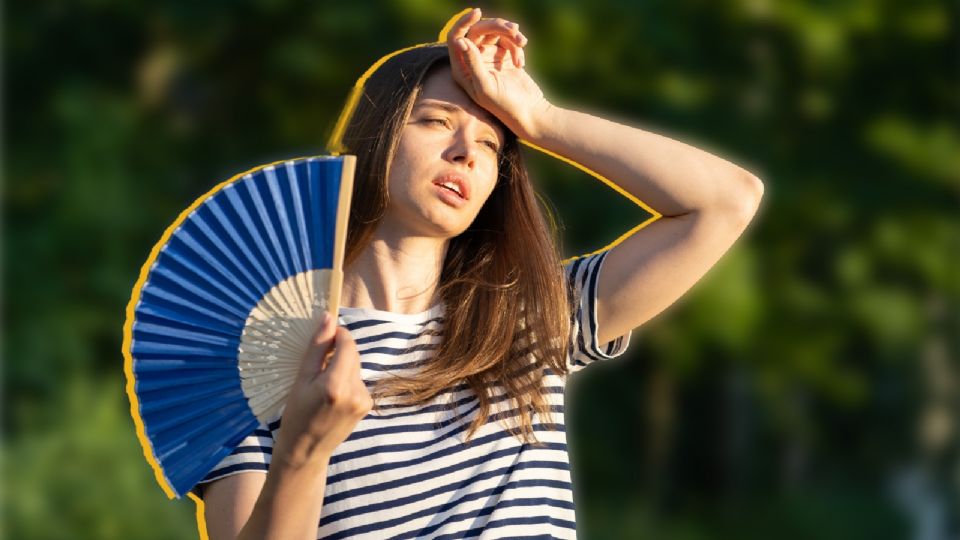 La UNAM aclara: la canícula no es como nos la contaron; en realidad, ni ocurre igual en todo México.