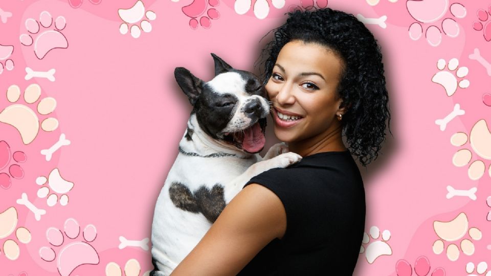 Con estas prácticas, se puede ayudar a las mascotas a no sentir celos.