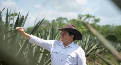 Gobierno estatal destina más de 3.8 millones de pesos al sector henequenero en Bokobá