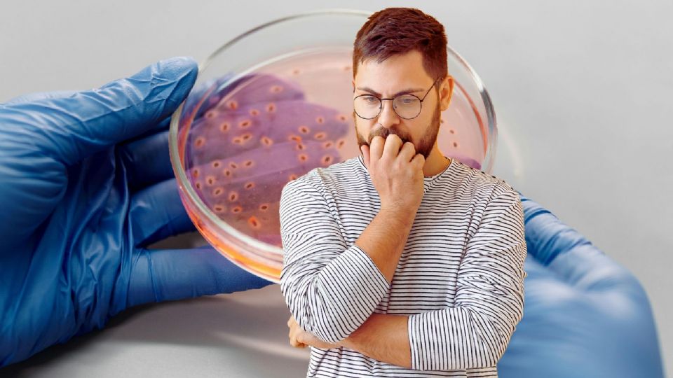 Esta nueva mutación confiere a las bacterias una resistencia completa a toda la familia de los aminoglucósidos.