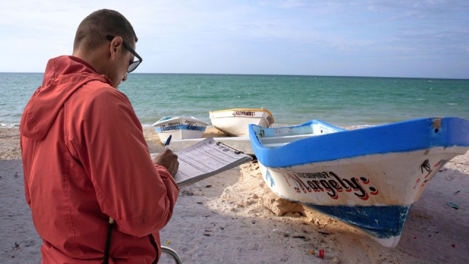 ¿Vacaciones en Yucatán? Cofepris publicó qué playas son aptas para nadar y pasar un día seguro en familia.