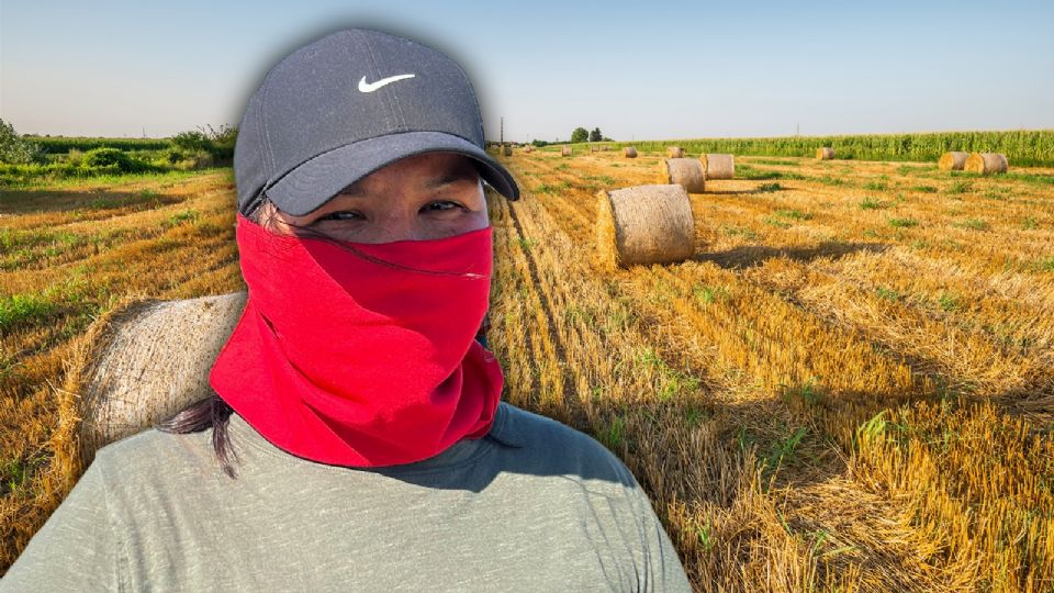 León Krauze criticó la intención del gobierno de Donald Trump de entregar a ICE los datos personales de 79 millones de beneficiarios del programa Medicaid.