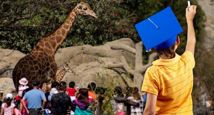 Vacaciones 2025 en CDMX: disfruta ZooAventuras con 2×1 por buenas calificaciones
