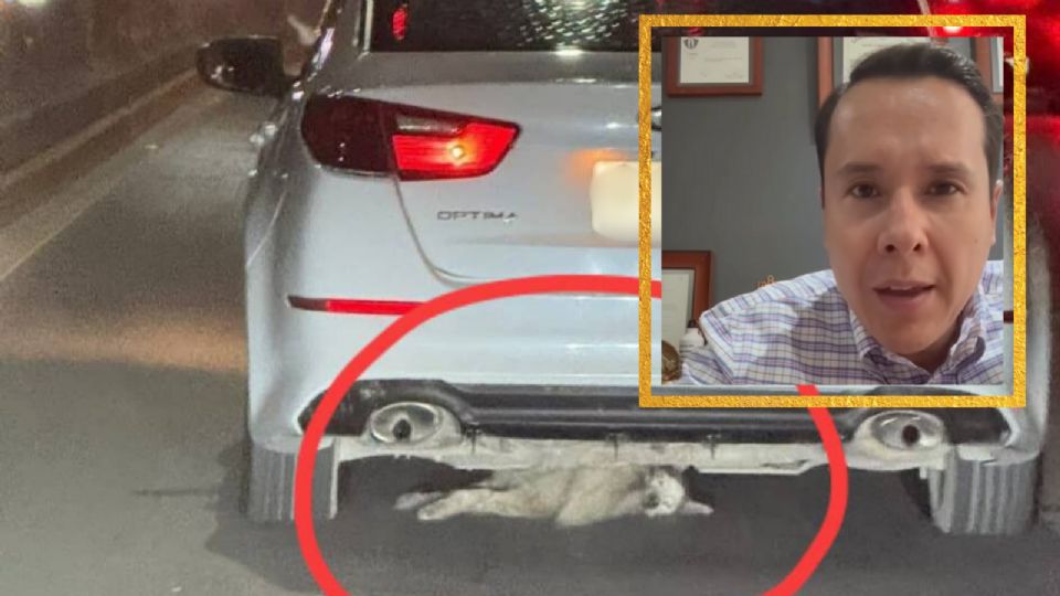 El munícipe reiteró que habrá consecuencias legales por maltrato animal.