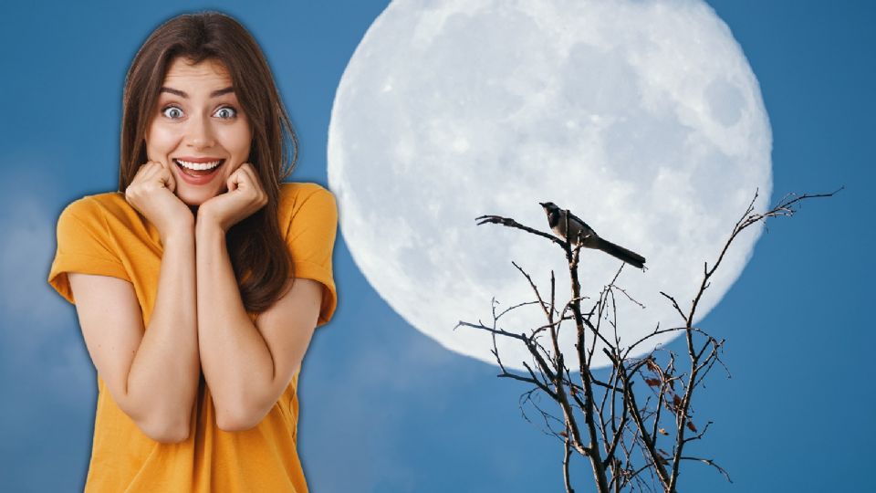 Este evento ocurre aproximadamente cada tres años y ha capturado la atención de astrónomos profesionales.