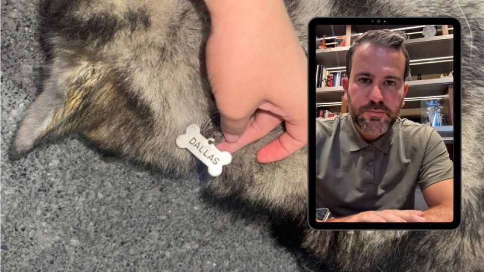 Raúl Lozano Cantú, secretario estatal de Medio Ambiente, exigió justicia tras la muerte del perro atropellado en San Nicolás.