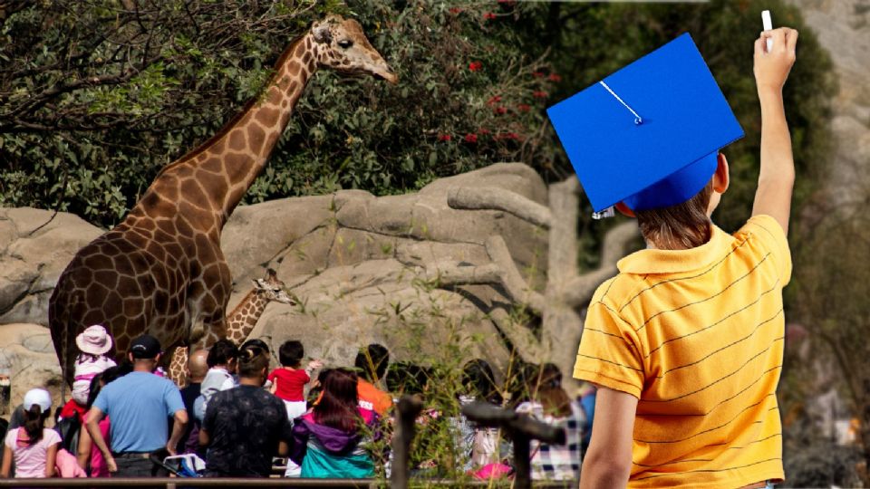 La promoción es válida únicamente en taquillas físicas y no aplica para compras en línea.