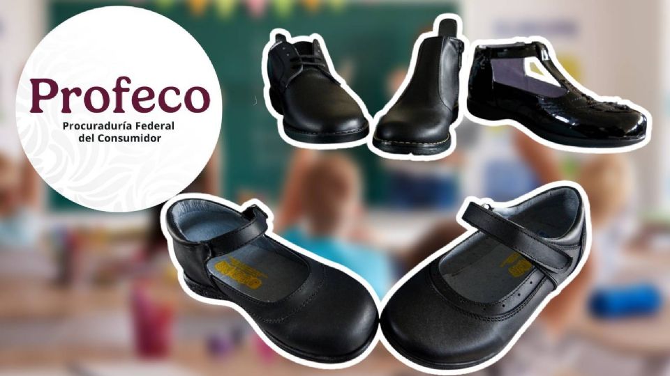 La Profeco realizó un estudio con 20 modelos y estos obtuvieron los mejores resultados