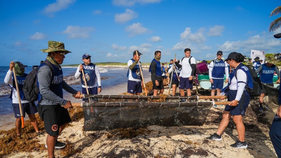 La Semar participa en las jornadas de limpieza de sargazo en playas de Quintana Roo.