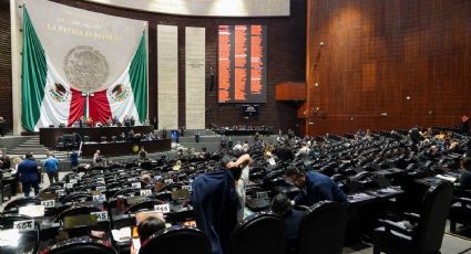 Ciudadanos que rechazan 'leyes espía' pueden ampararse, recuerda PAN