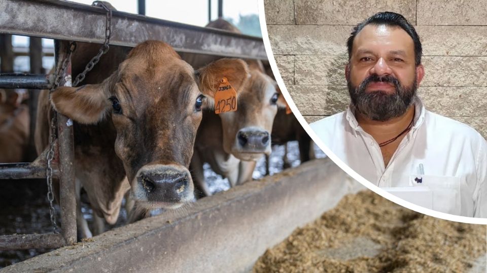 Foto: Pexels, Instagram @warnelmaye