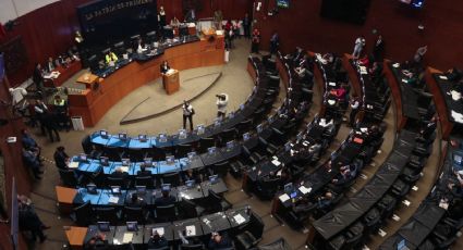 PRI en el Senado exige a SEP rigor académico y científico en libros para evitar errores del pasado