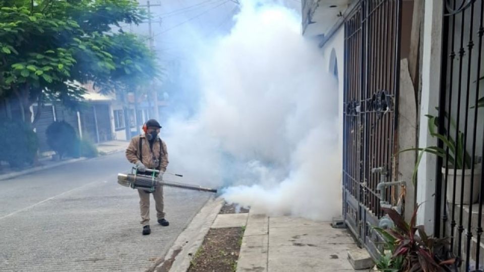 La Secretaría de Salud en Nuevo León mantiene los operativos de fumigación.