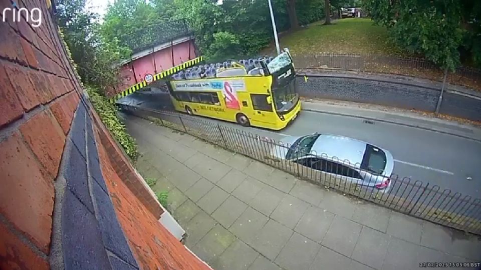 Foto: Redes Sociales