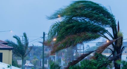 Fuertes vientos en Nuevo León: Alertan por rachas de hasta 50 km/h ESTE 18 de marzo