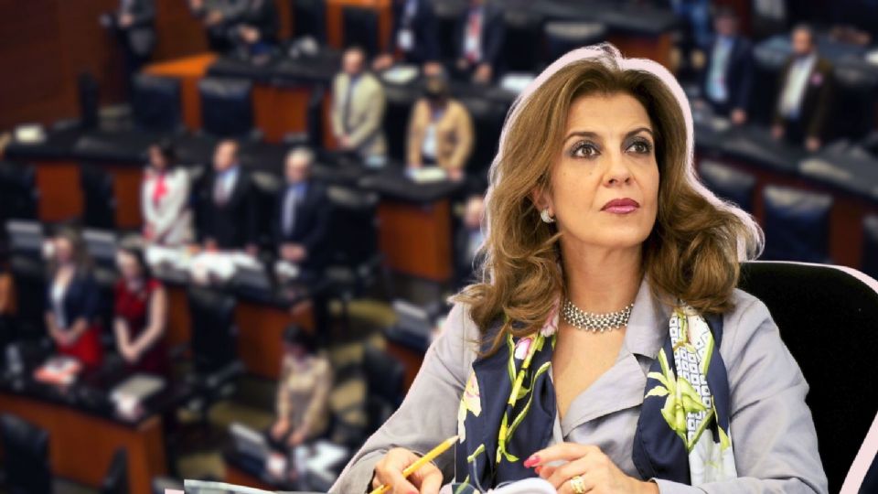 María Elena Pérez- Jaén cuestionó el silencio de los líderes de los partidos opositores en el Senado.