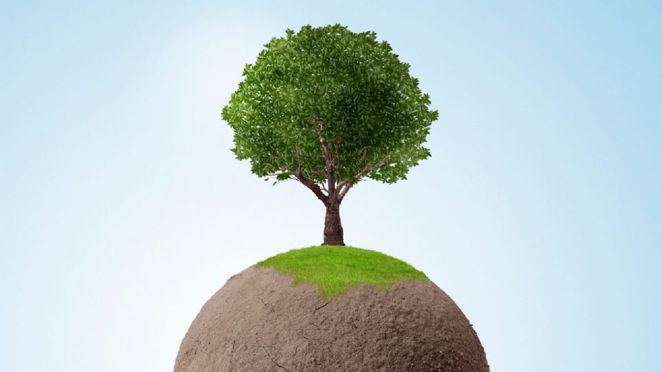 La CIJ subraya la obligación de los Estados de cooperar activamente.