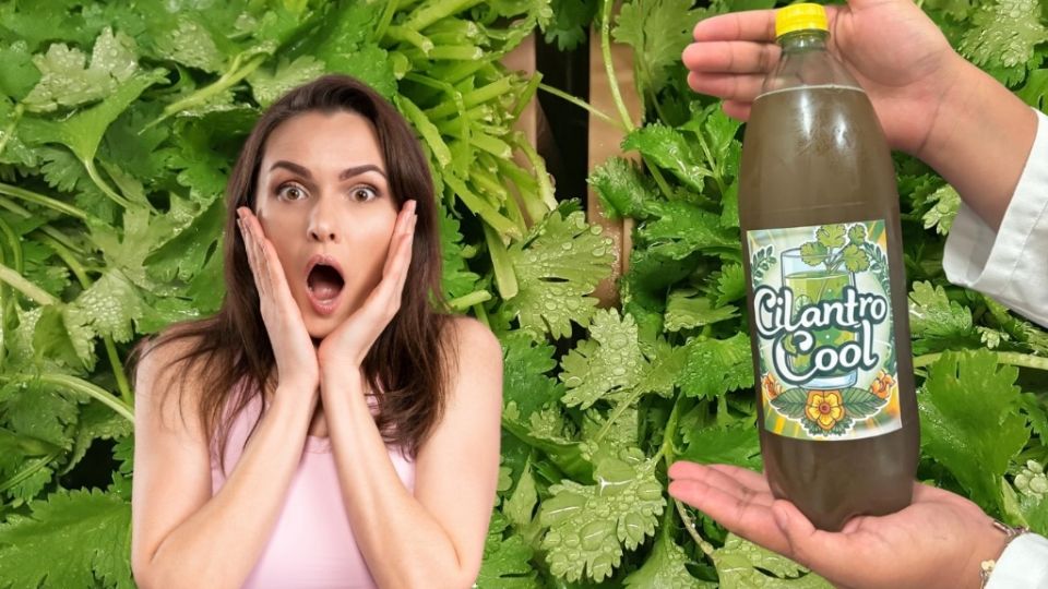 La idea fue desarrollada por Neferthary y Valeria, dos estudiantes originarias de la región.