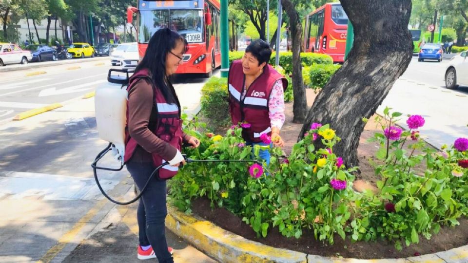 Estas acciones se enmarcan en la estrategia de transformación del espacio público impulsada por el Gobierno de la CDMX.