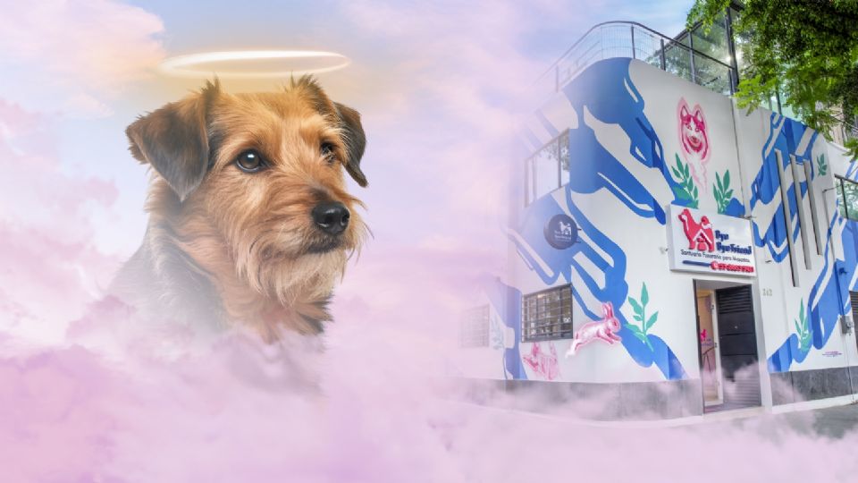 La huella que dejan es imborrable, por eso se plasma en un formato especial, junto con una emotiva frase al lado de su nombre.