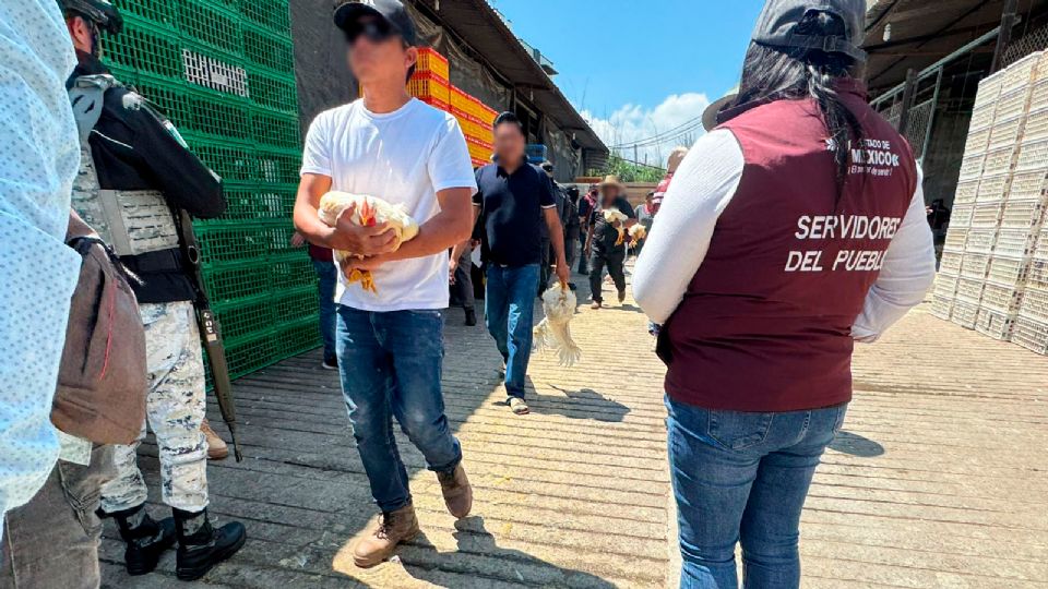 Después de este suceso, cientos de personas de todas las edades, mujeres y hombres, hicieron fila para recibir animales.