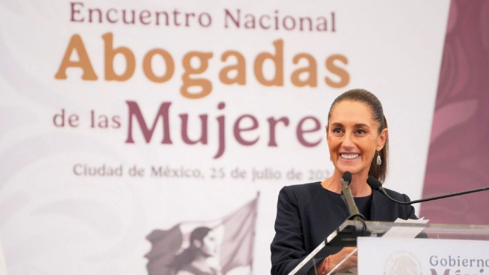 La Red Nacional de Abogadas de las Mujeres está conformada por 838 profesionales del derecho.