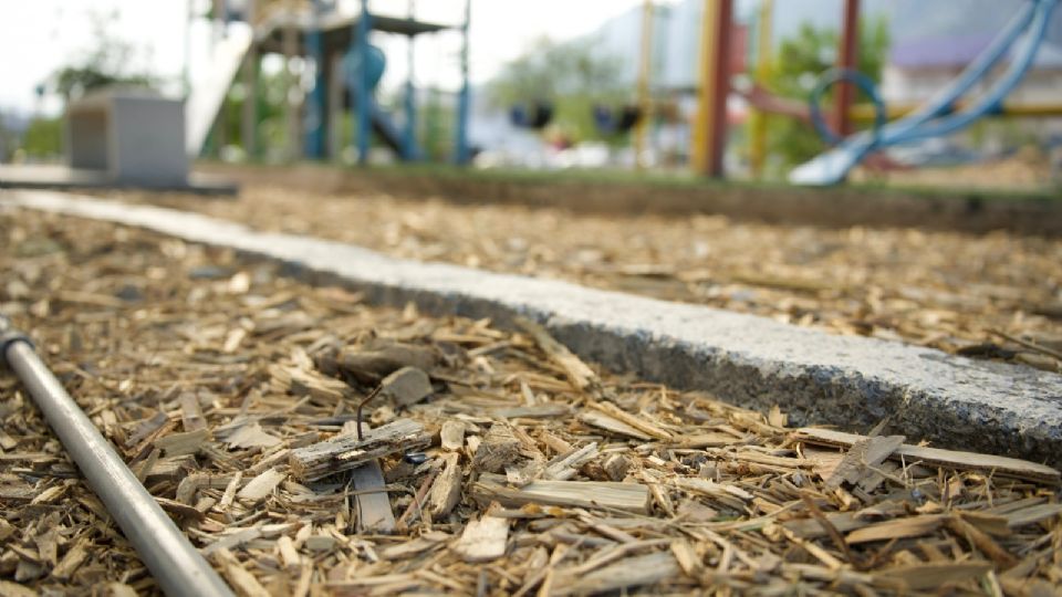 Diputada exige retirar madera con clavos de los parques de Santa Catarina ante riesgo de accidentes.