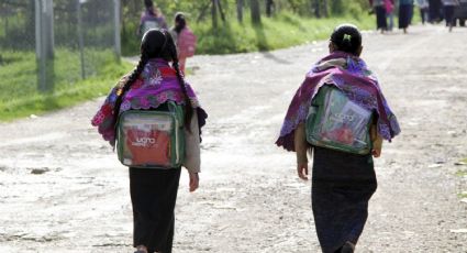 En México, niñas indígenas están siendo obligadas a sobrevivir una maternidad impuesta: ANPMI