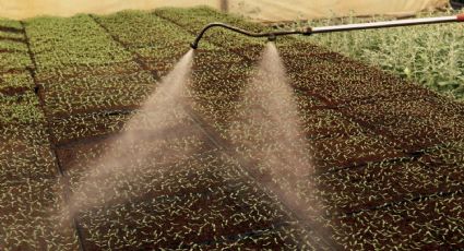 Soberanía alimentaria es prioridad, va de la mano de la infraestructura hidroagrícola, plantean