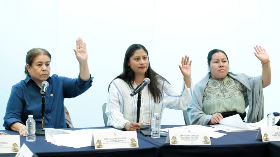 Sesión de las Comisiones Unidas de Gobernación y de Derechos Humanos, del Senado.