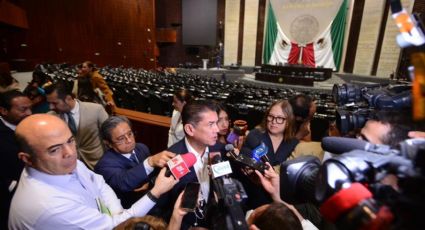 No satanizar vacaciones de lujo de morenistas, pide líder del PVEM en San Lázaro