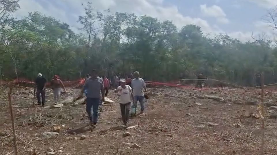 Especial Redes Sociales