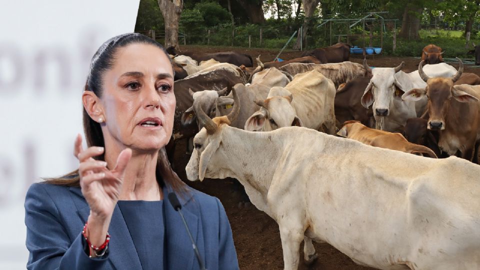 Estados Unidos ya entregó 21 millones de dólares a México para reactivar una planta.