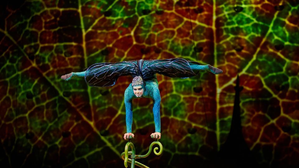 Con una propuesta visualmente impactante, OVO de Cirque du Soleil regresa a Monterrey.