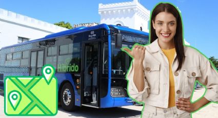 ¿Conoces la ruta 69 del Va-y-Ven? Este es el trayecto completo entre Madero y Juan Pablo II